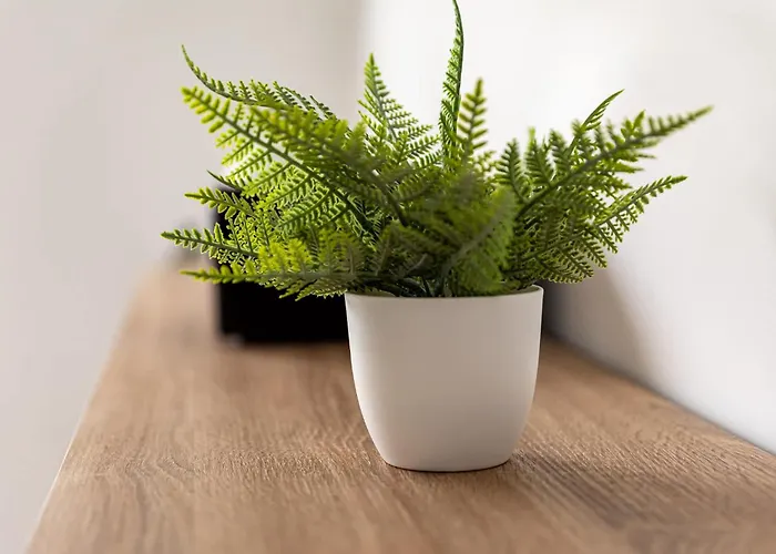 Maison Neuve - La Marinière - Classée 4 étoiles - Emplacement Idéal