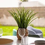 Tatil Evi La Mariniere Des Sables Les Sables-dʼOlonne