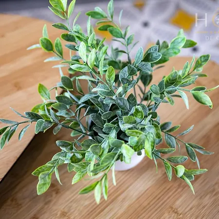 Maison Neuve - La Mariniere - Classee 4 Etoiles - Emplacement Ideal