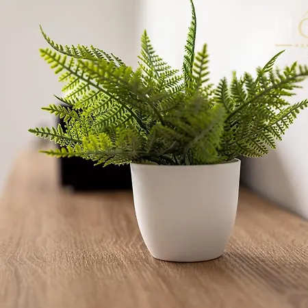 Maison Neuve - La Mariniere - Classee 4 Etoiles - Emplacement Ideal Nyaraló