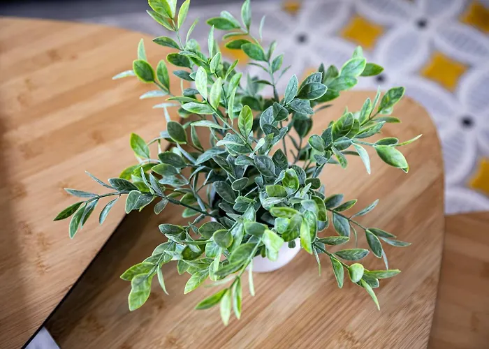 Prázdninový dům Maison Neuve - La Mariniere - Classee 4 Etoiles - Emplacement Ideal *